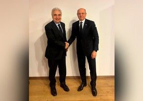 Azərbaycan İEA ilə qlobal enerji bazarında mövcud tendensiyaları müzakirə edib