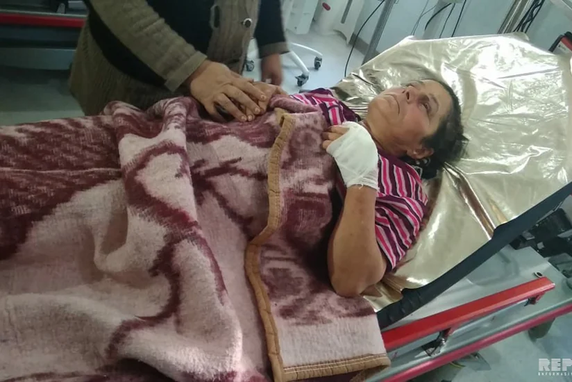 Lənkəranda yırtıcı heyvanlar sakinlərə hücum edib, 4 nəfər yaralanıb - FOTO - YENİLƏNİB