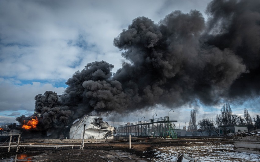 Environmental disaster as consequence of Russia-Ukraine war: Marine life of Black Sea in danger - RESEARCH