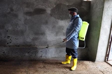 Şabranda heyvanlar arasında profilaktik tədbirlər davam etdirilir