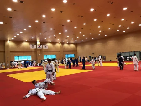 Cüdo üzrə Azərbaycan millisi Yaponiyada təlim-məşq toplanışına başlayıb