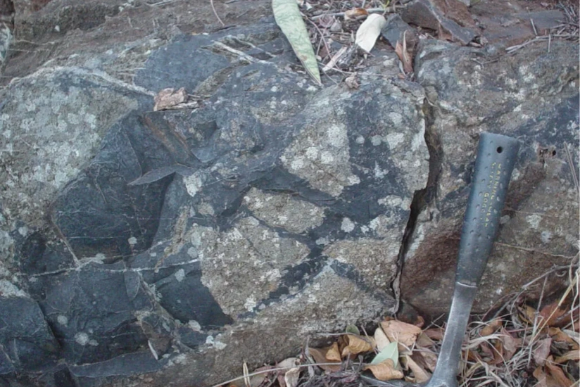 Найдены древнейшие на Земле ископаемые микробы