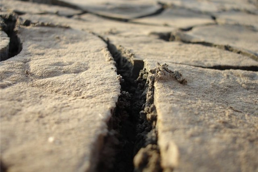 ​Meksikada 5,5 bal gücündə zəlzələ olub