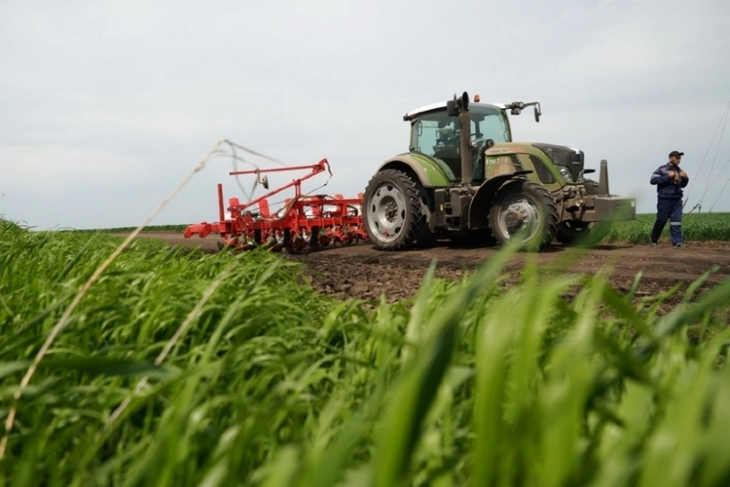 Azərbaycanda 42 min hektar sahədə dən və yaşıl yem üçün payızlıq səpin olub