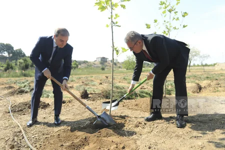Gəncədə Türkiyənin Demokratiya və Milli Birlik Günü qeyd olunub