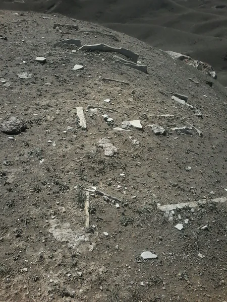 Böyük Qafqaz dağları silsiləsində daş-qutu qəbirlər aşkarlanıb - FOTOREPORTAJ