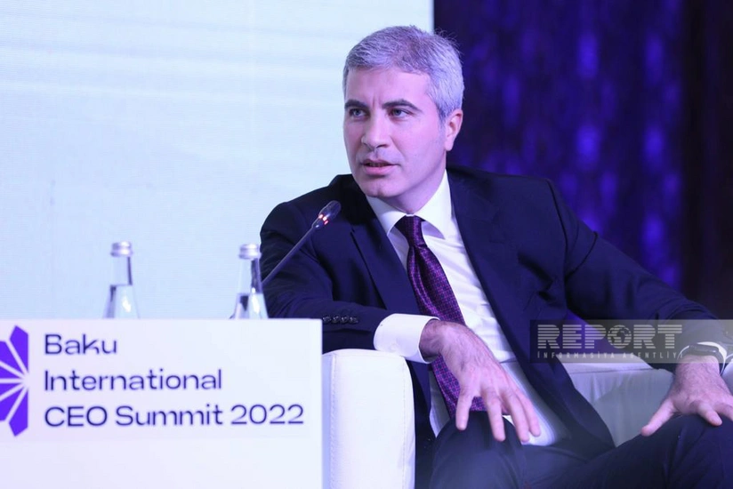 Мустафа Аббасбейли: Рынок труда спрогнозирован неверно