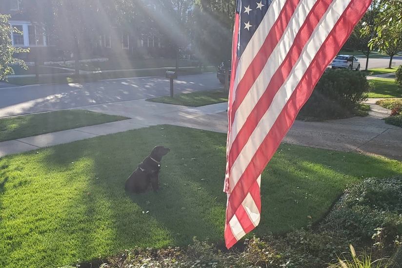 Ağ Ev Konqresdən Ukrayna üçün əlavə vəsait istəməyi planlaşdırır