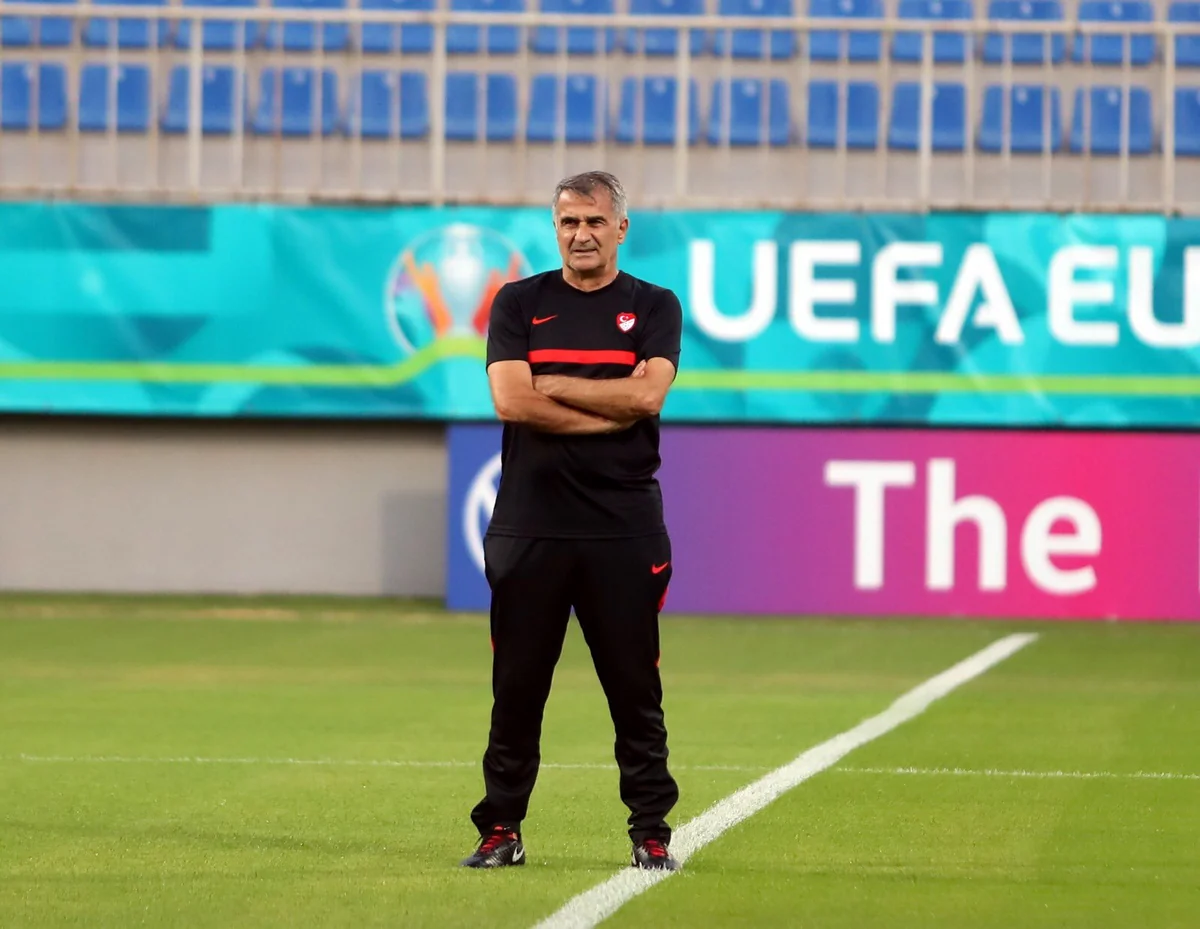 Şenol Güneş: Türkiyəni və qardaş Azərbaycanı xoşbəxt etməliyik