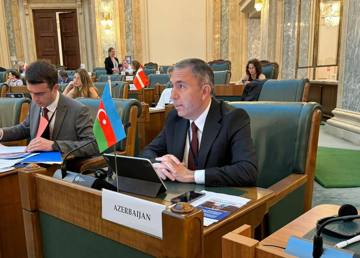 Tahir Mirkişili: COP29-da 200-ə yaxın ölkə yeni maliyyələşdirmə hədəfi üzrə razılığa gəlməyə çalışacaq