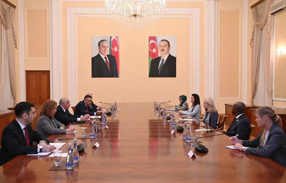 Azərbaycan ilə UNICEF arasında qarşılıqlı maraq doğuran sahələrdə əməkdaşlıq müzakirə olunub