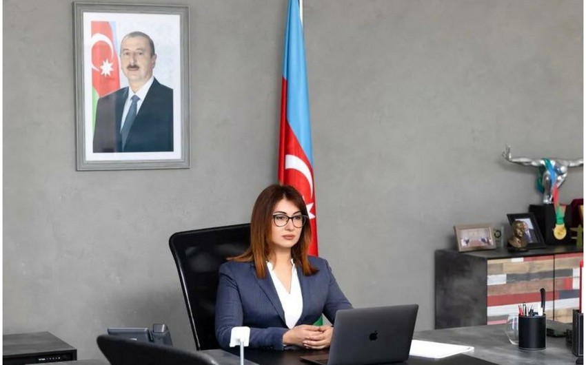 AMADA daha bir beynəlxalq layihəni uğurla həyata keçirib