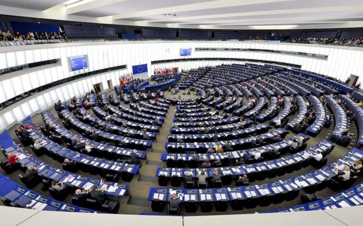 Avroparlament neokolonializmi himayə edən yeganə parlamentar təsisatdır - RƏY