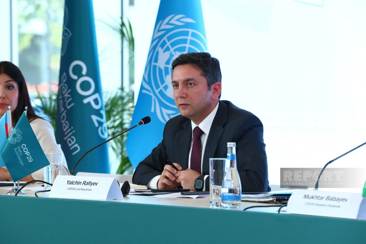 Yalçın Rəfiyev: İqlim Maliyyələşməsi Fonduna 1 milyard dollar toplamağa çalışırıq