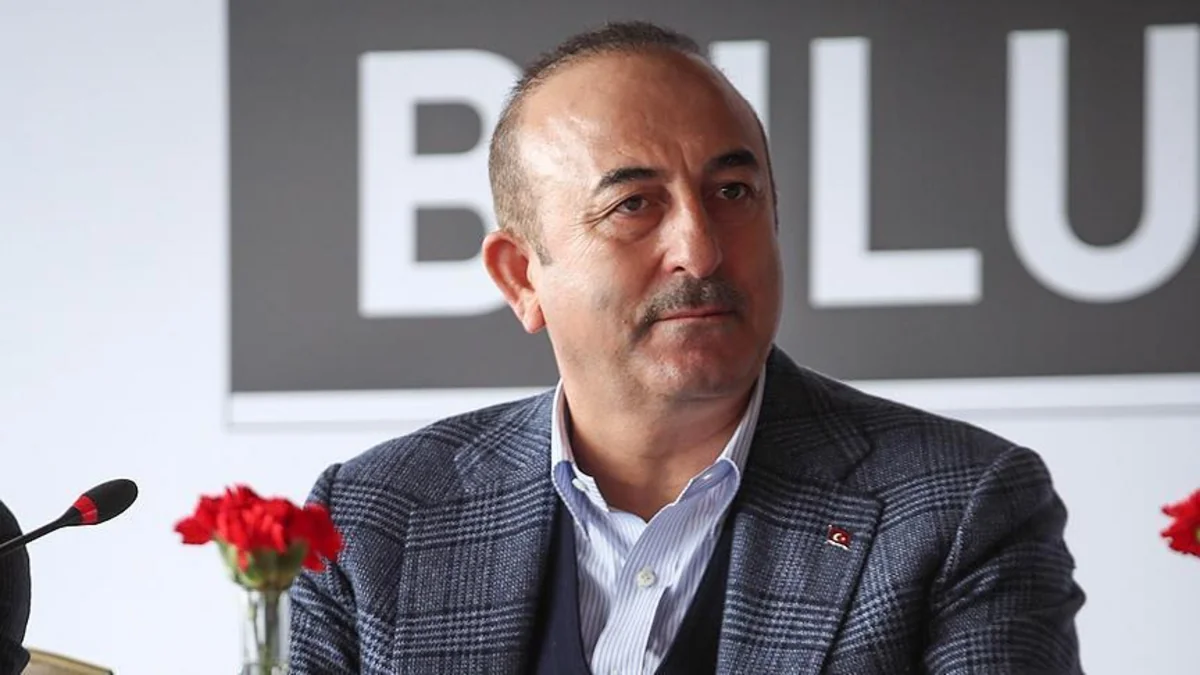 Чавушоглу обвинил Запад в двойных стандартах по делу Кашикчи