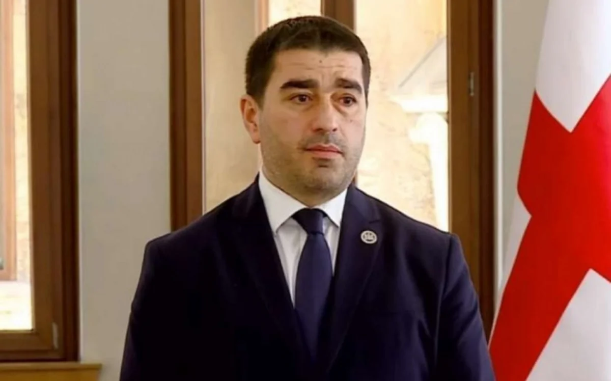 Спикер парламента Грузии отказал во встрече делегации парламентов шести стран ЕС
