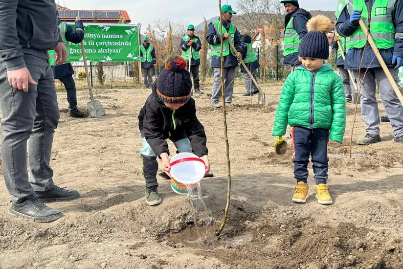Zabuxda ağacəkmə aksiyası keçirilib