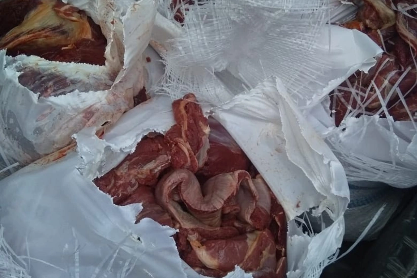 Qax və Zaqatalada mənşəyi məlum olmayan heyvan cəmdəkləri aşkarlanıb