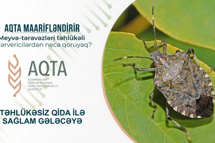Bitkiçilik təsərrüfatlarını təhlükəli zərərvericilərdən necə qoruyaq?