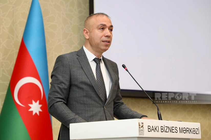 Elnur Soltanov: Reconstruction of thermal power plant in Azerbaijan's Mingachevir to save 1.5BCM of gas