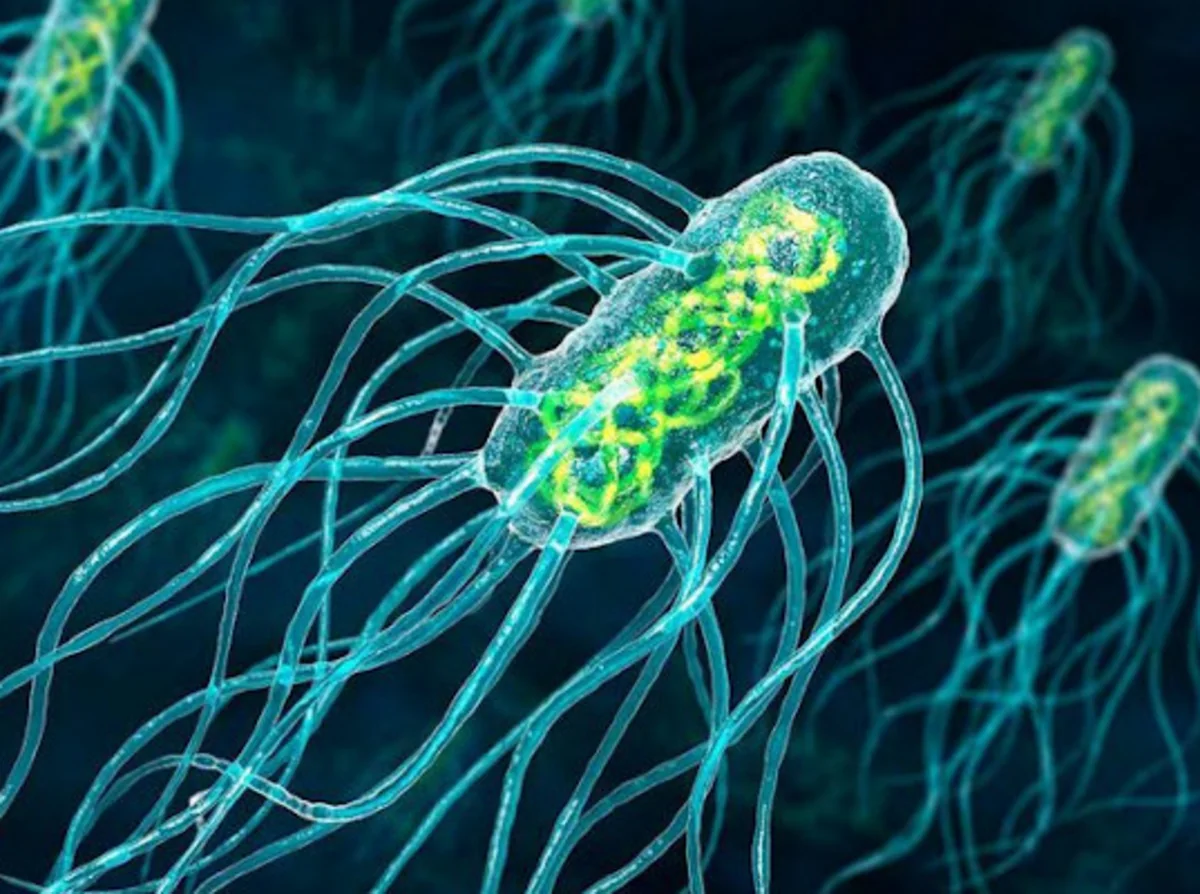 В США оживили микробов возрастом 100 миллионов лет