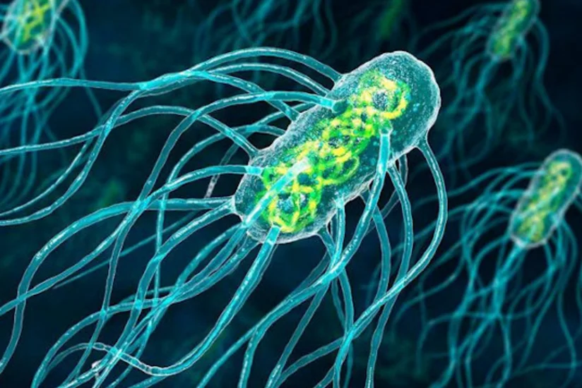 В США оживили микробов возрастом 100 миллионов лет