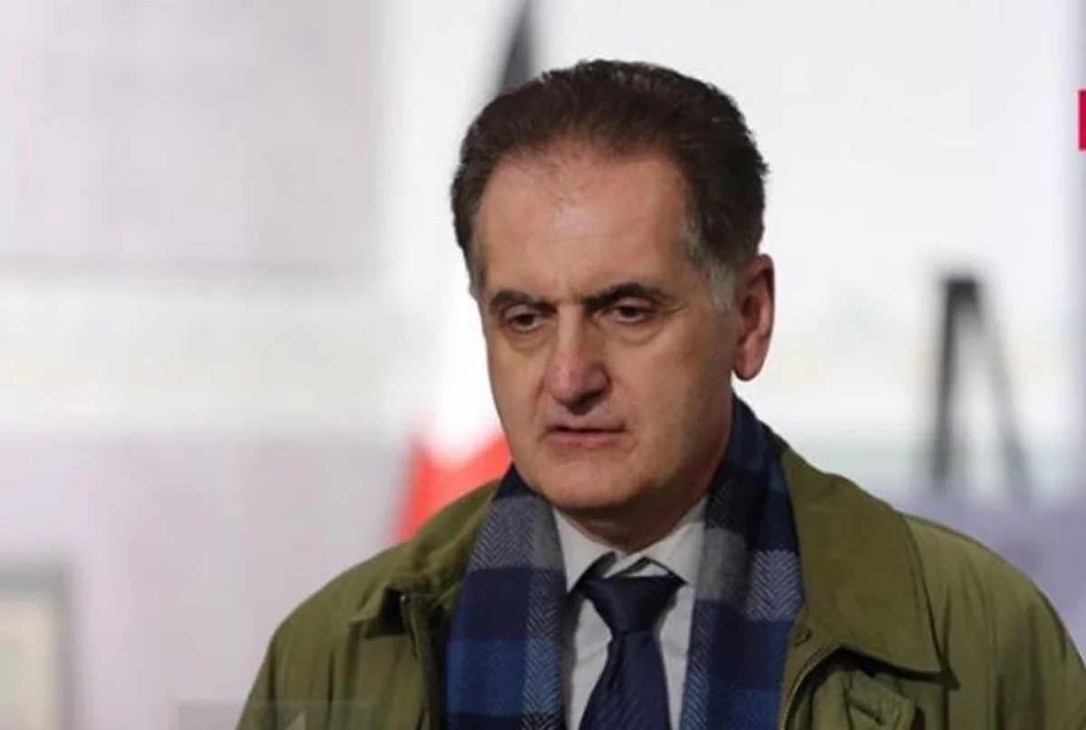 Son of first Georgian president appointed to diplomatic post
