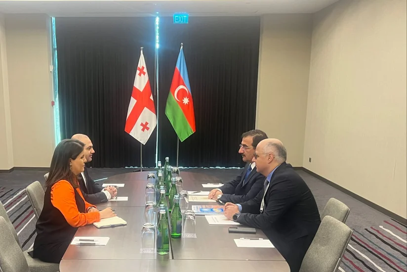 Ədliyyə nazirinin müavini gürcüstanlı həmkarı ilə görüşüb