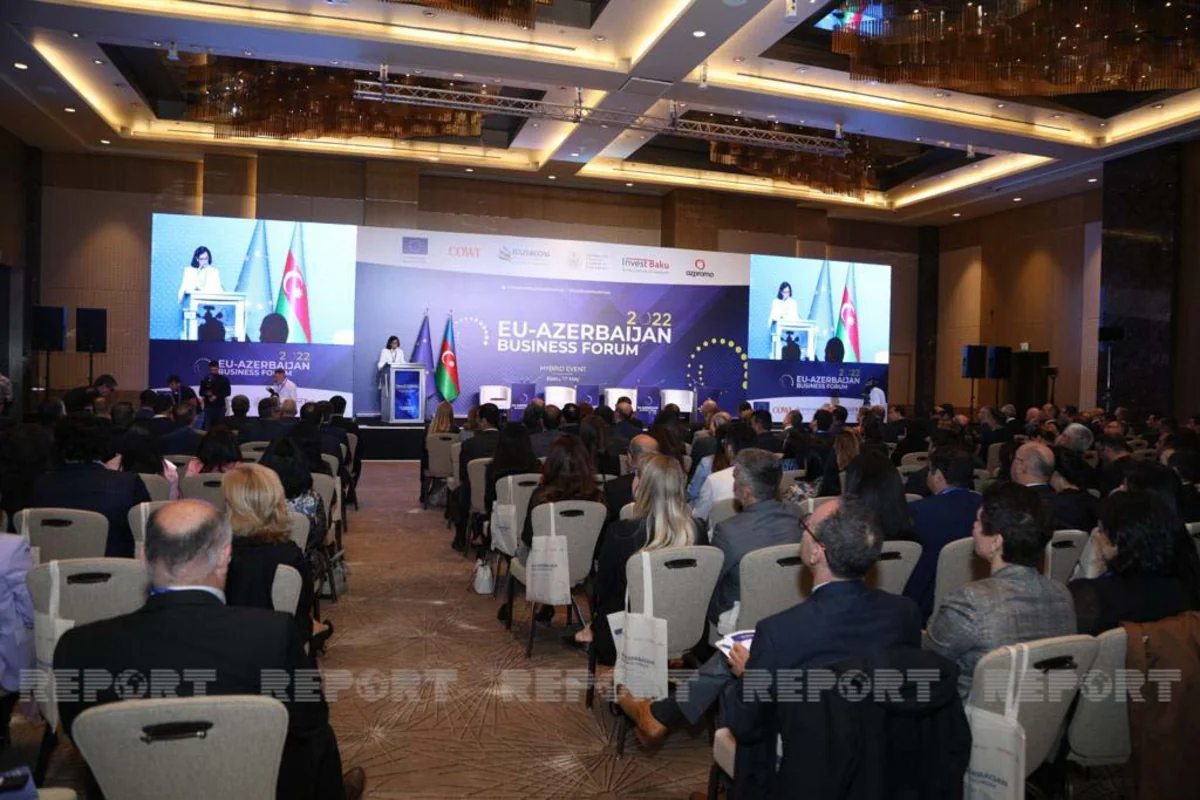 Report: 14% of EU countries ready to invest in Azerbaijan's liberated lands