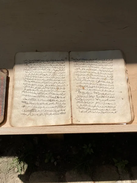Mehriban Əliyeva Basqal qəsəbəsindən paylaşım edib