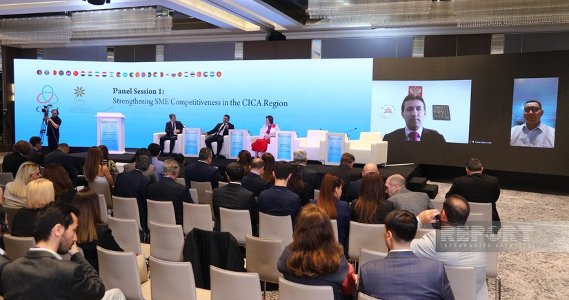 İnstitut direktoru: Asiya ölkələri texnoloji inkişafın episentrinə çevrilib