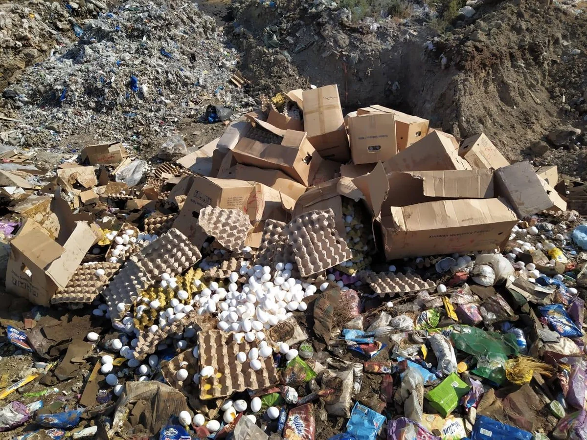 Abşeronda istehlaka yararsız 108 min yumurta məhv edilib