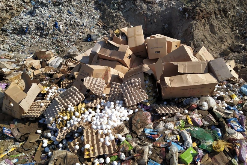 Abşeronda istehlaka yararsız 108 min yumurta məhv edilib