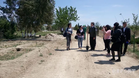 ETSN işçiləri 30 hektar ərazidə iməcilik keçirib