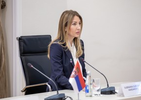 В Белграде отметили, что переговоры с США по NIS идут сложно