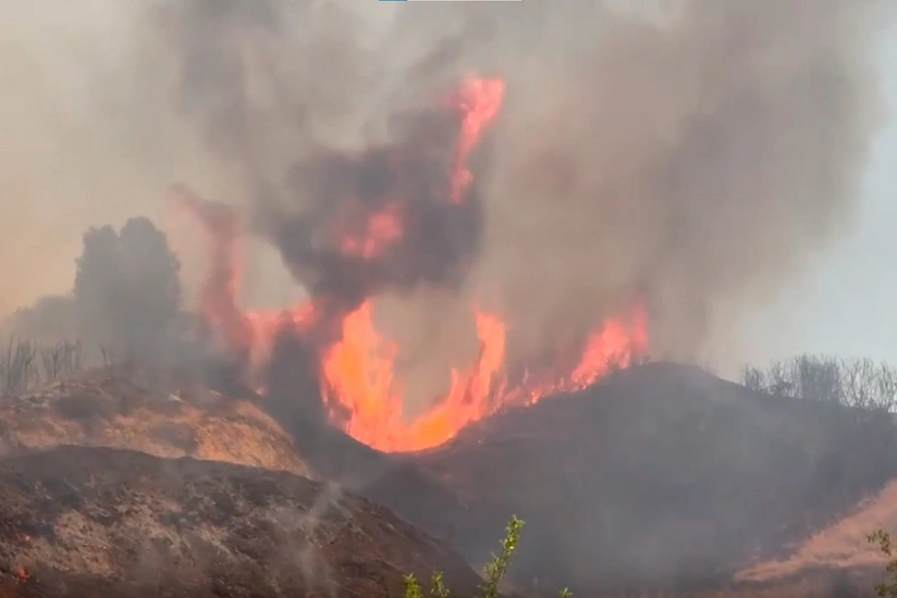 Meşə yanğını səbəbindən İzmir hava limanında uçuşlar dayandırılıb