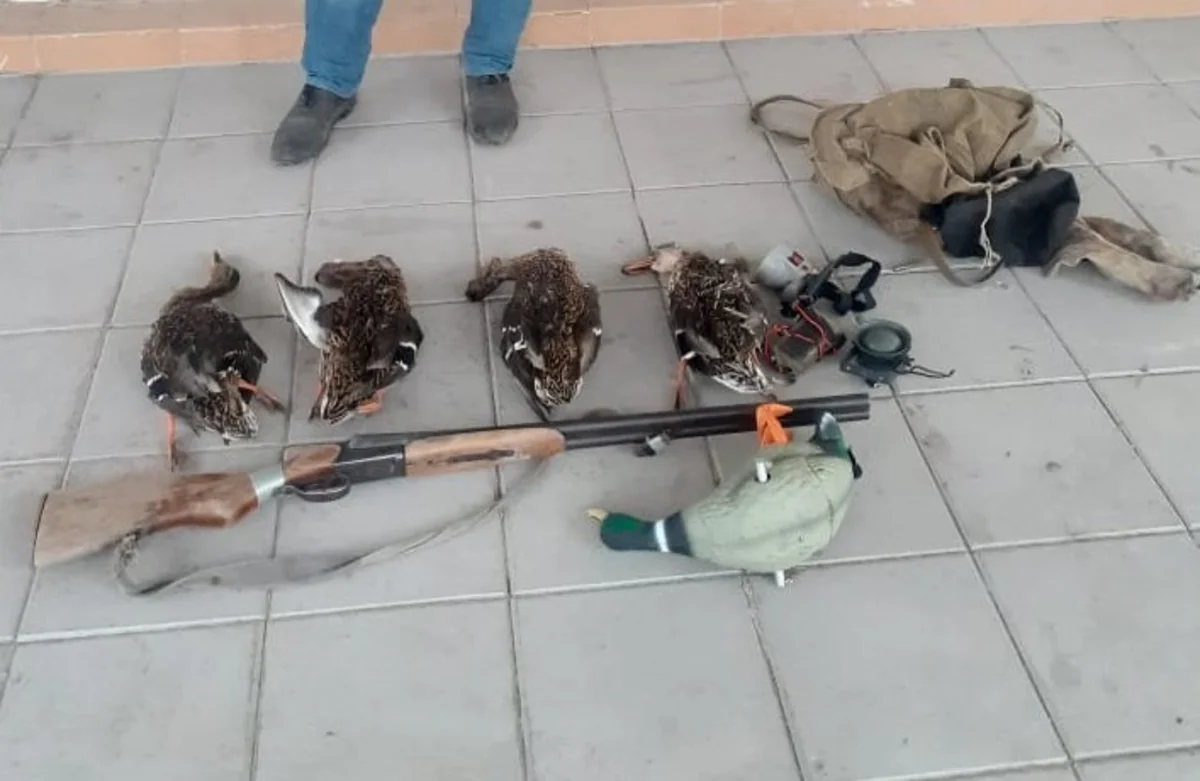 Biləsuvarda ovçu saxlanılıb