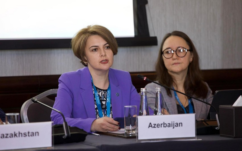 Rana Humbatova: Azerbaijan focuses on exporting renewable electricity to EU