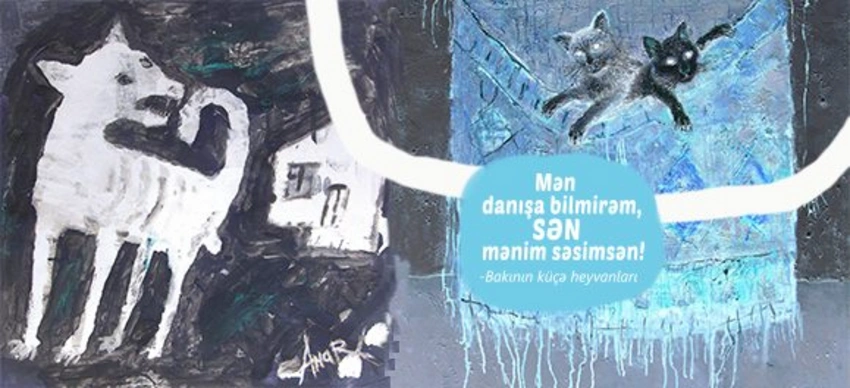Bakıda sahibsiz heyvanlar mövzusuna həsr olunan xeyriyyə aksiyası keçiriləcək