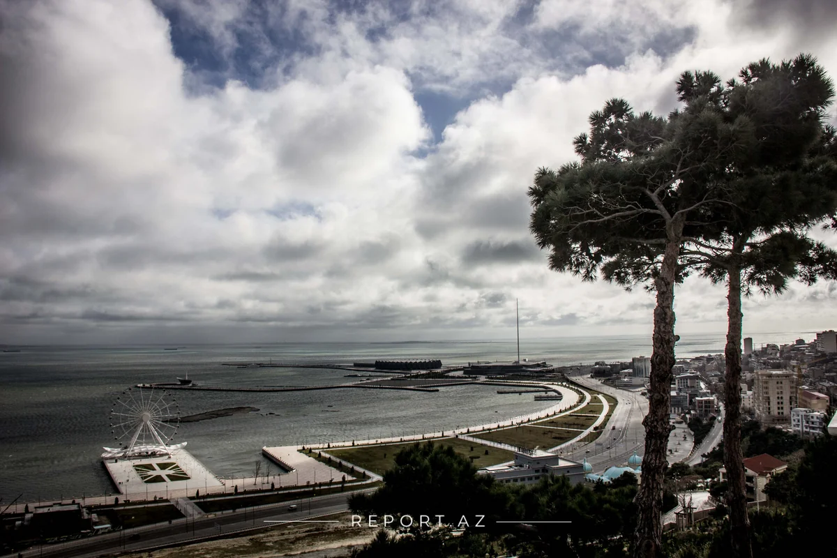 Dənizkənarı Bulvar İdarəsi auditor seçir
