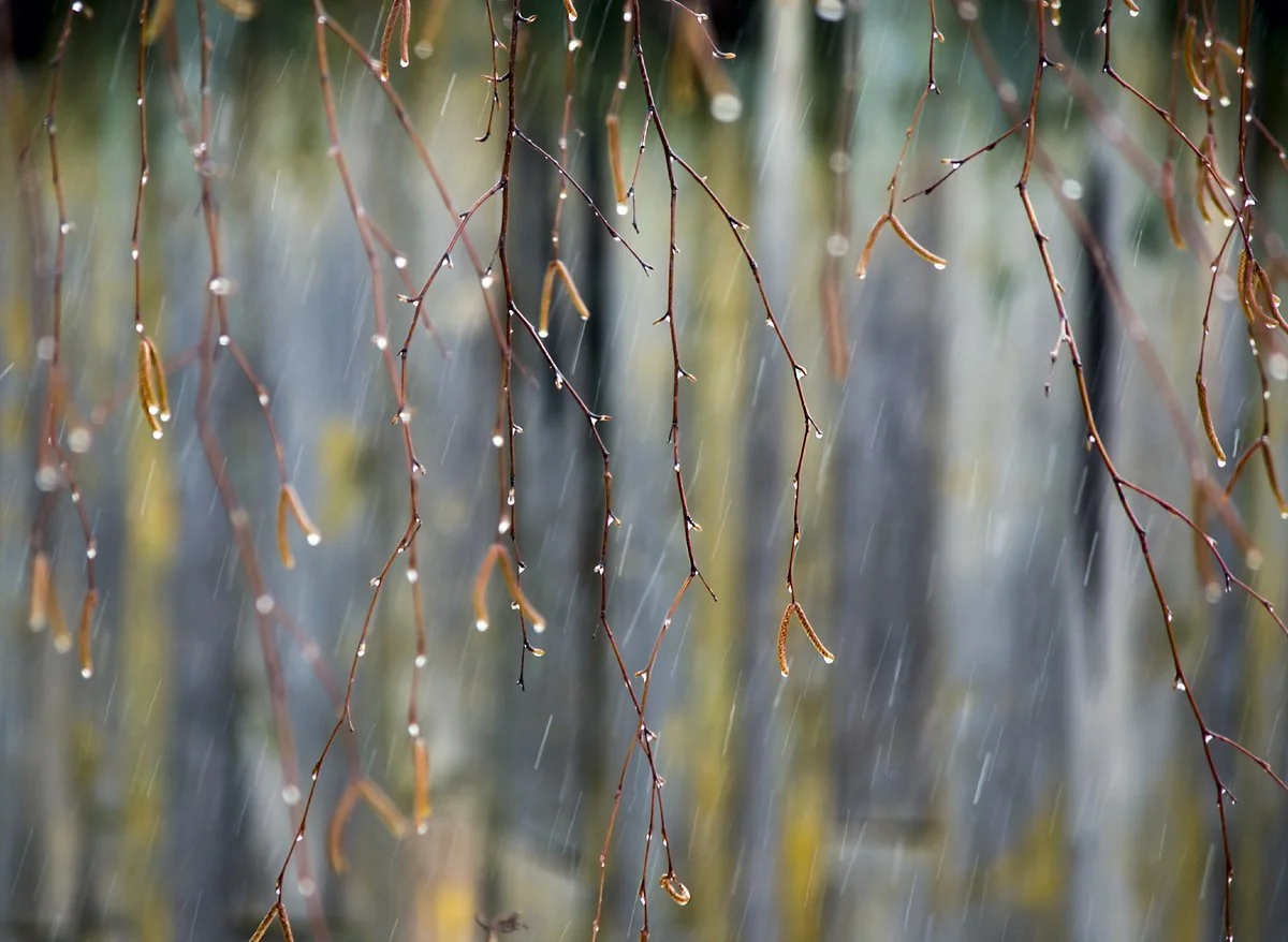 Rain expected in Baku on Sunday