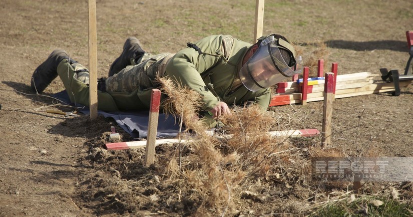 Over 1,315 hectares cleared of mines in Azerbaijan’s liberated lands last week