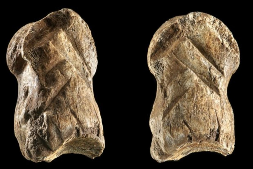 World's oldest ornament discovered in Germany