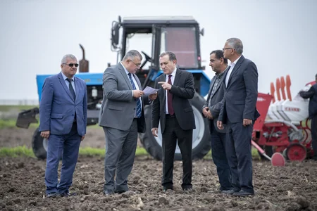 Azərbaycanda pambıq çiyidi səpininə start verilib