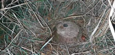 Qaradağda mina hadisəsi baş verib, 1 nəfər xəsarət alıb