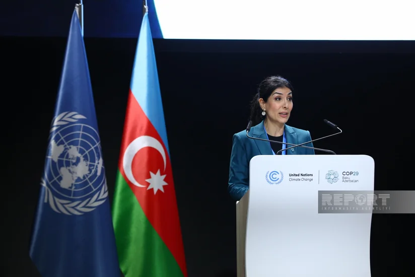 Nigar Arpadarai: COP29-da özəl sektor fəal şəkildə iştirak edir