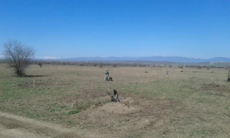 Cocuq Mərcanlı kəndində gün ərzində 2 094 ədəd qəlpə aşkar edilib