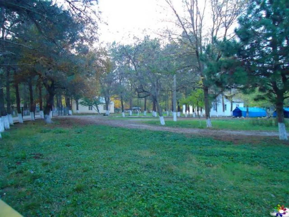 Nabranda istirahət mərkəzində qadını cərəyan vuraraq öldürüb