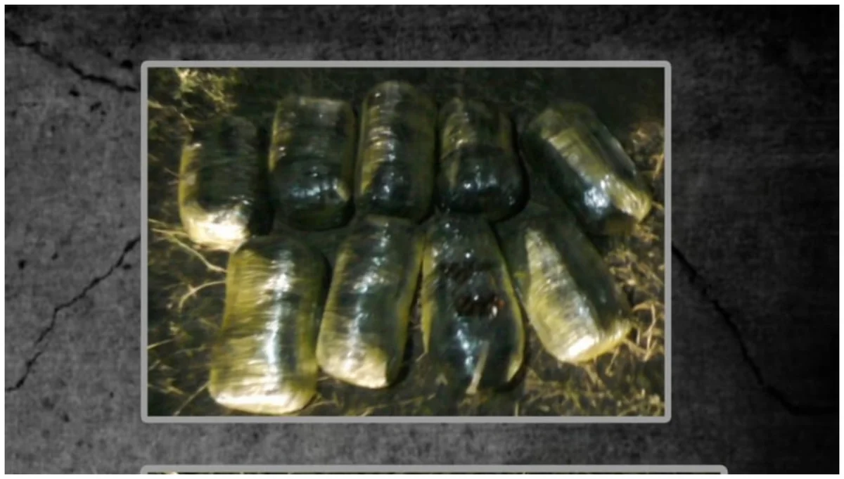 Cəlilabadda keçmiş məhkumdan 13 kiloqram narkotik götürülüb