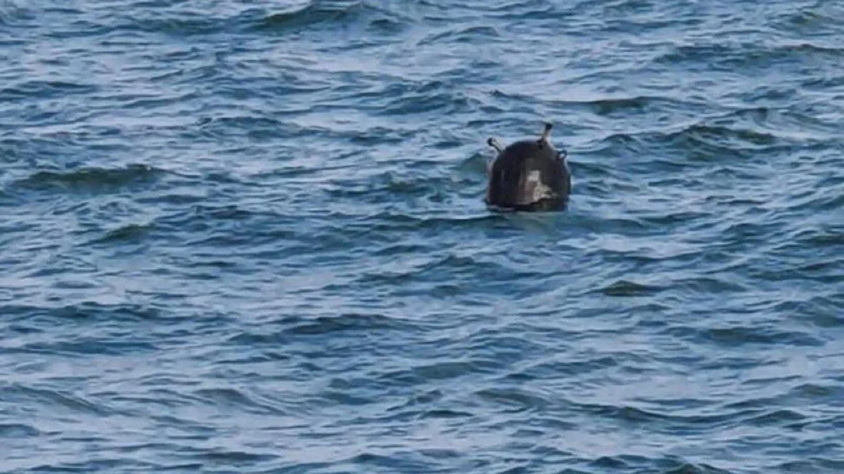Mine found on Turkish-Bulgarian border